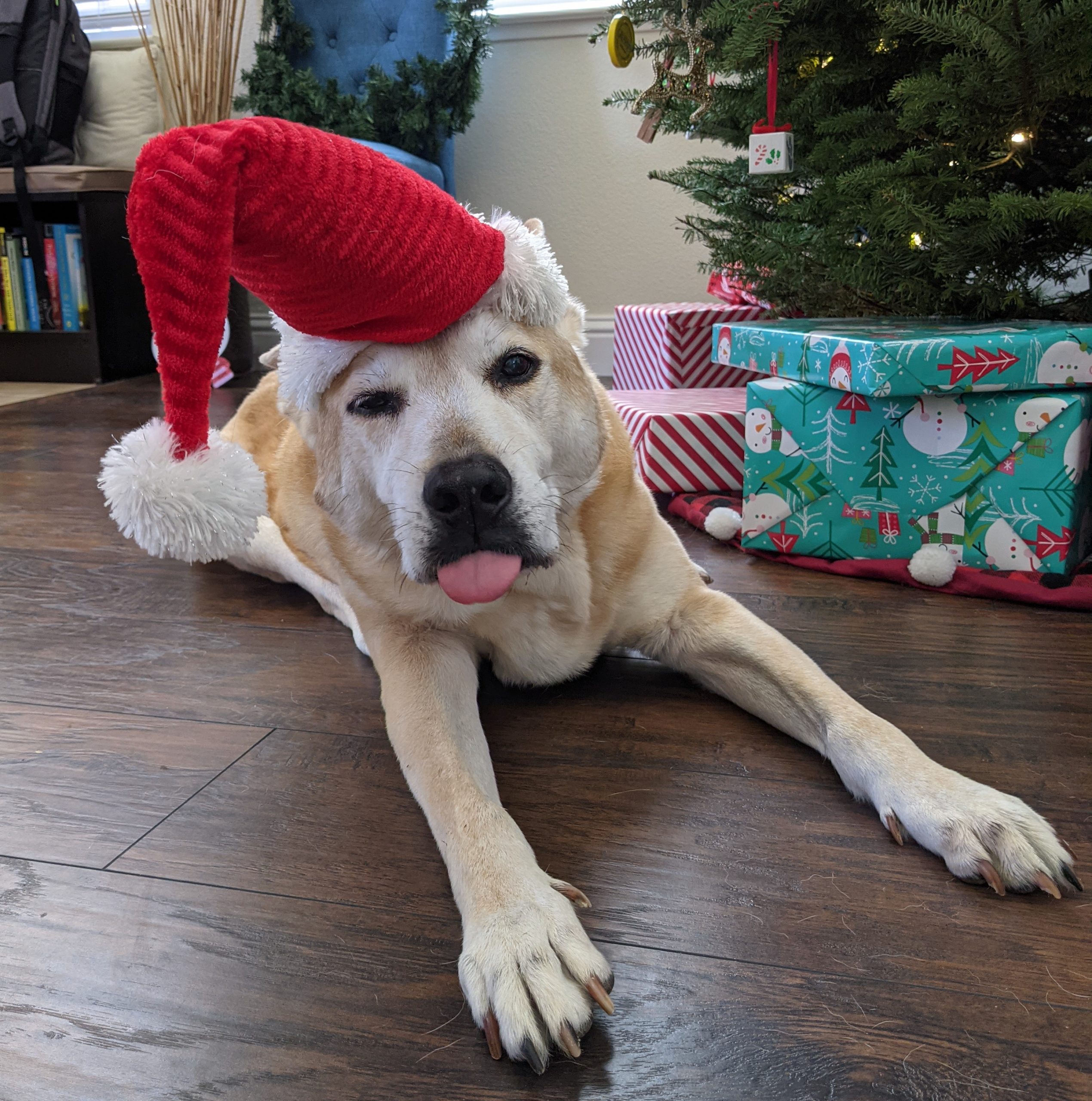 We’re Not Going to Miss 2020 but it Did Have a Few Bright Spots