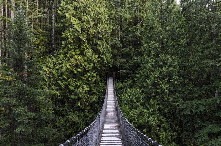 How law firms can take advantage of evergreen content