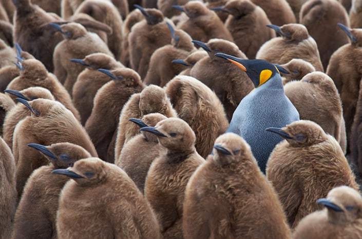 Six ways to set your firm apart in 2017